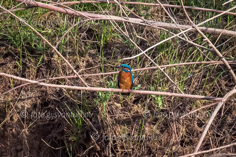 2020_04_14 Uiterwaard Gameren